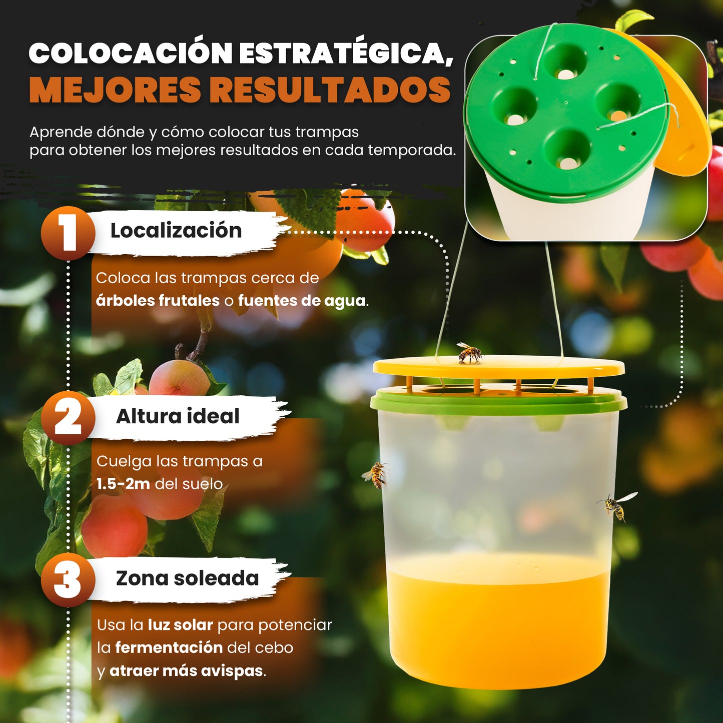 Mice&Co Trampa para Avispas Profesional - Acaba con la Avispa Asiática - Pack 2 Unidades - Mice&Co