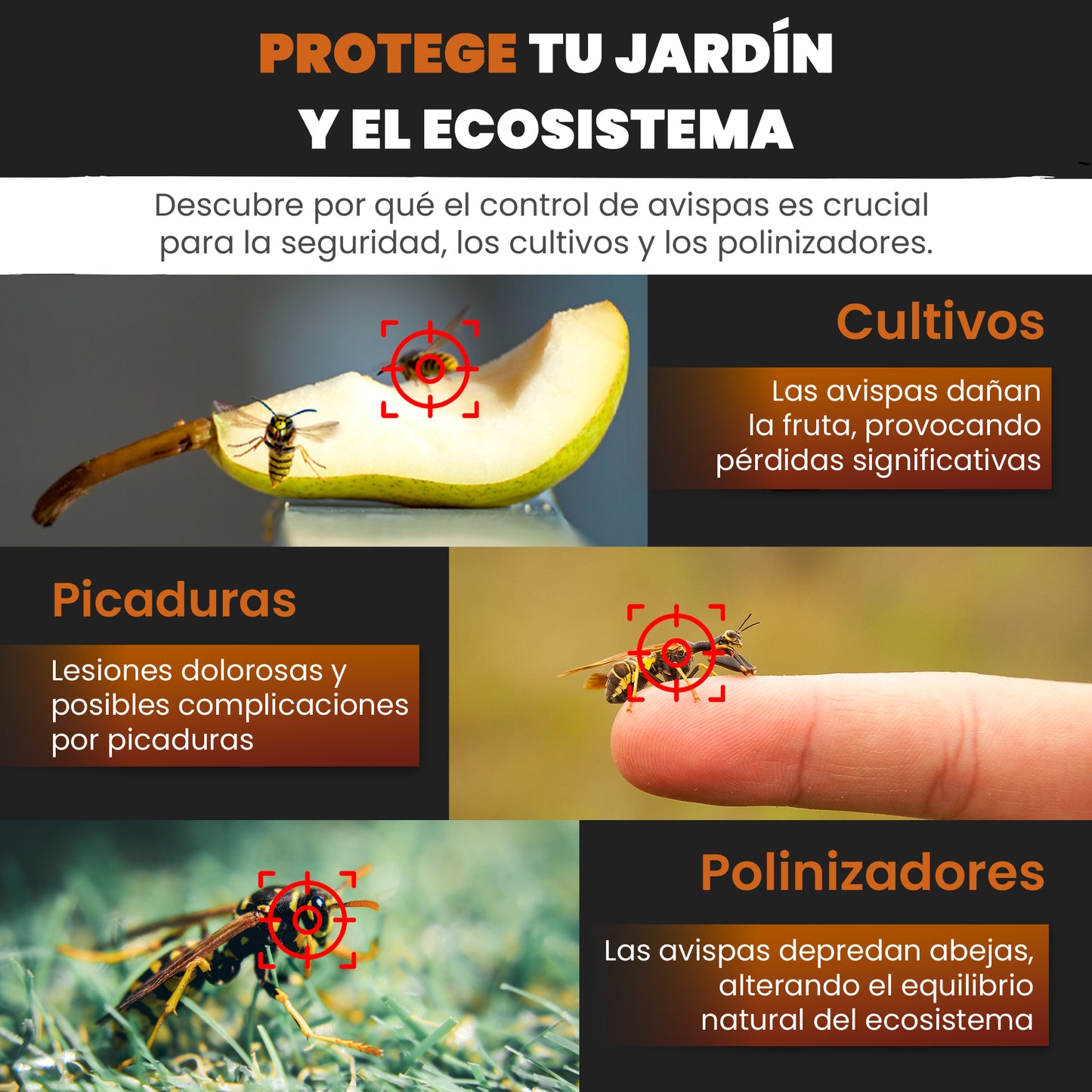 Mice&Co Trampa para Avispas Profesional - Acaba con la Avispa Asiática - Pack 2 Unidades - Mice&Co