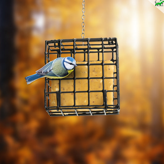 Pasteles de Sebo para Aves Silvestres - Bizcochos de Sebo Naturales para Pájaros Salvajes, 6 unidades - Mice&Co