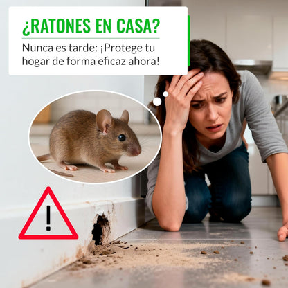 Portacebos para Ratones con Llave - Pack 4 Unidades