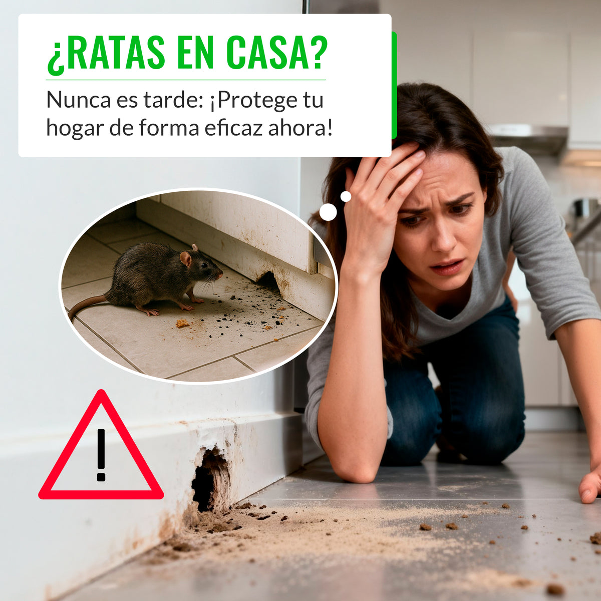 Portacebos para Ratas Grande Profesional - Pack 2 Unidades - Mice&Co