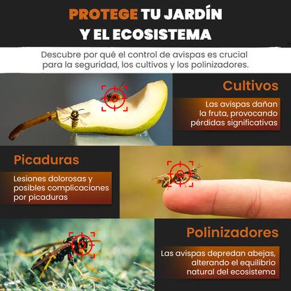 Mice&Co Trampa para Avispas Profesional - Acaba con la Avispa Asiática - Pack 2 Unidades - Mice&Co